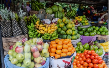 GAIN Working Paper n°69: Supporting Nutrition to Foster Staff Wellbeing