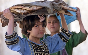 Baseline assessment of capacity and skills for micronutrient, food quality and safety analysis including rapid assessment and validation of equipment, supplies and accessories requirement