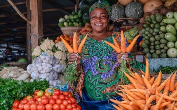 Nutritional Value Score Rates Foods Based on Nutrient Density and Noncommunicable Disease Prevention