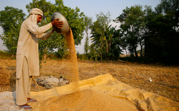 Pakistan regional food fortification project industry assessment tool - wheat flour mills