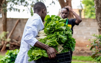 The Kenya national micronutrient survey 2011