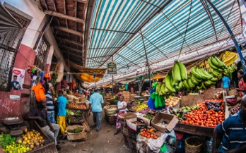 GAIN Working Paper Series 22 - Assessing the impacts of potential interventions on vegetables consumption in urban Kenya using participatory systems modelling 