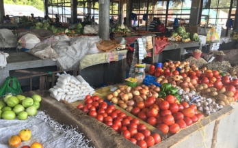 Marketplace for nutritious foods program: value chain and reach analysis – Vegman case study, Chimoio, Mozambique