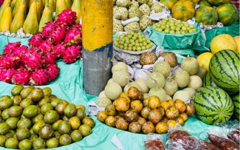 GAIN Working Paper Series 32 - How important are traditional retail outlets for sourcing healthy foods in Kenya and India