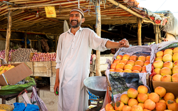 Pakistan Food Systems Dashboard