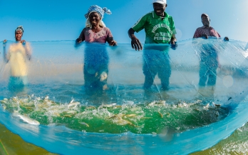 ANIMAL-SOURCED FOODS IN LOW- AND MIDDLE-INCOME COUNTRIES