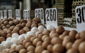 Eggs - one of nature's most nutritious foods