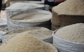 Social marketing of a fortified staple food at scale: generating demand for fortified rice in Brazil 
