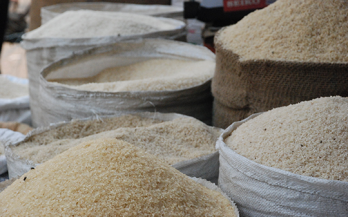 Social marketing of a fortified staple food at scale: generating demand for fortified rice in Brazil