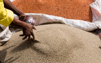 State of Nation Report on Large Scale Food Fortification (LSFF) in Nigeria