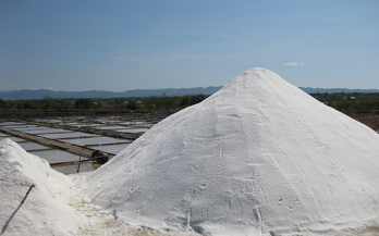 Coverage of adequately iodized salt is suboptimal and rice fortification using public distribution channels could reach low-income households: findings from a cross-sectional survey of Anganwadi center catchment areas in Telangana, India