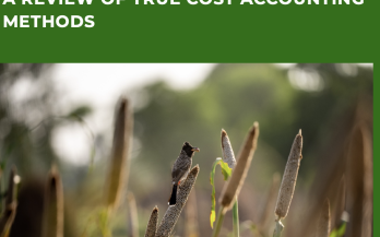 Quantifying The Environmental Impacts of Food A Review of True Cost Accounting Methods