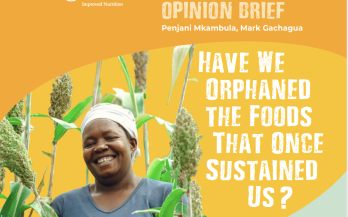 Have We Orphaned The Foods That Once Sustained Us