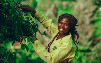 Quantifying the Socio-Economic Impacts of Food: A Review of True Cost Accounting Methods