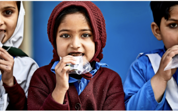 Nutritious Fruit Bars Initiative: A scalable business model for affordable nutrition, reduced food waste, and job creation in Pakistan