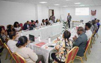 GAIN Working Paper n°76: Advocating for Workforce Nutrition