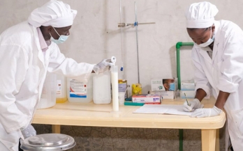 Weathering the pandemic to build back better - Addendum of options for supporting SMEs in Kenya