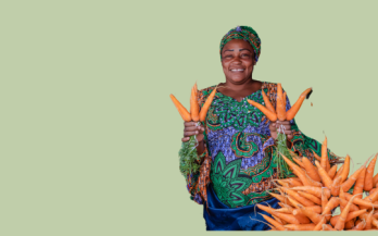 Biodiversity and Nutrition Synergies: Evaluating National Biodiversity Strategies and Actions Plans for Integration