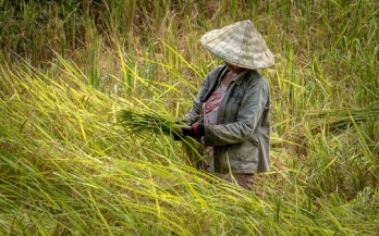 Effectiveness of an integrated program to reduce maternal and child malnutrition in Indonesia: Process evaluation of Baduta program in Malang and Sidoarjo districts East Java Indonesia