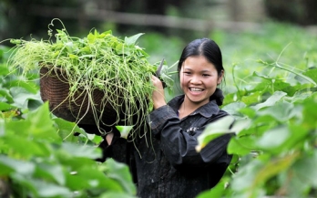 GAIN Working Paper Series 11 - Supporting gender equity through food system businesses in lower-income countries