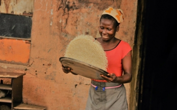 Fortified Foods Are Major Contributors to Apparent Intakes of Vitamin A and Iodine, but Not Iron, in Diets of Women of Reproductive Age in 4 African Countries