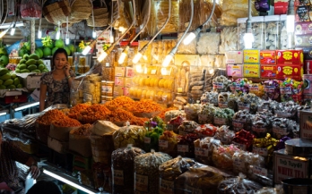 Urban Food Environments in Low- and Middle-Income Countries