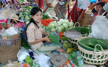 ASEAN: insights and considerations toward nutrition programs