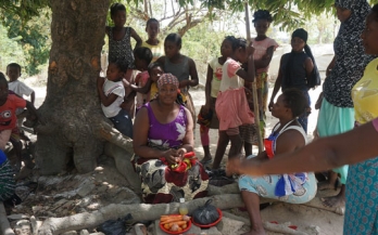 GAIN Working Paper Series 19 - Nourishing heroinas in Mozambique: understanding, designing with, and tailoring nutritional interventions to adolescent girls