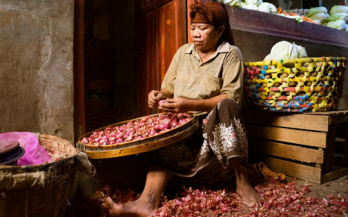 GAIN Working Paper n°43-Political Economy for Food System Pathways: A New Decision Toolkit