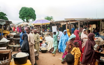 Nigeria Food Systems Dashboard Policy Brief