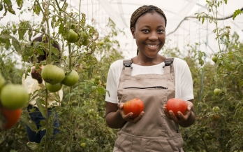 The Food Systems Countdown Initiative Webinar