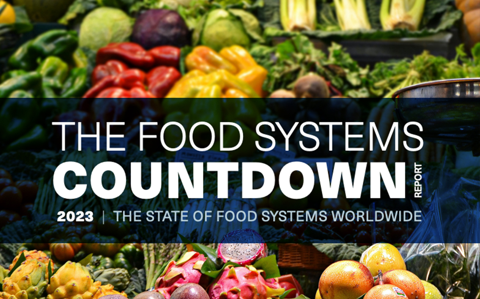 The Food Systems Countdown Initiative Policy Report 2023 | GAIN