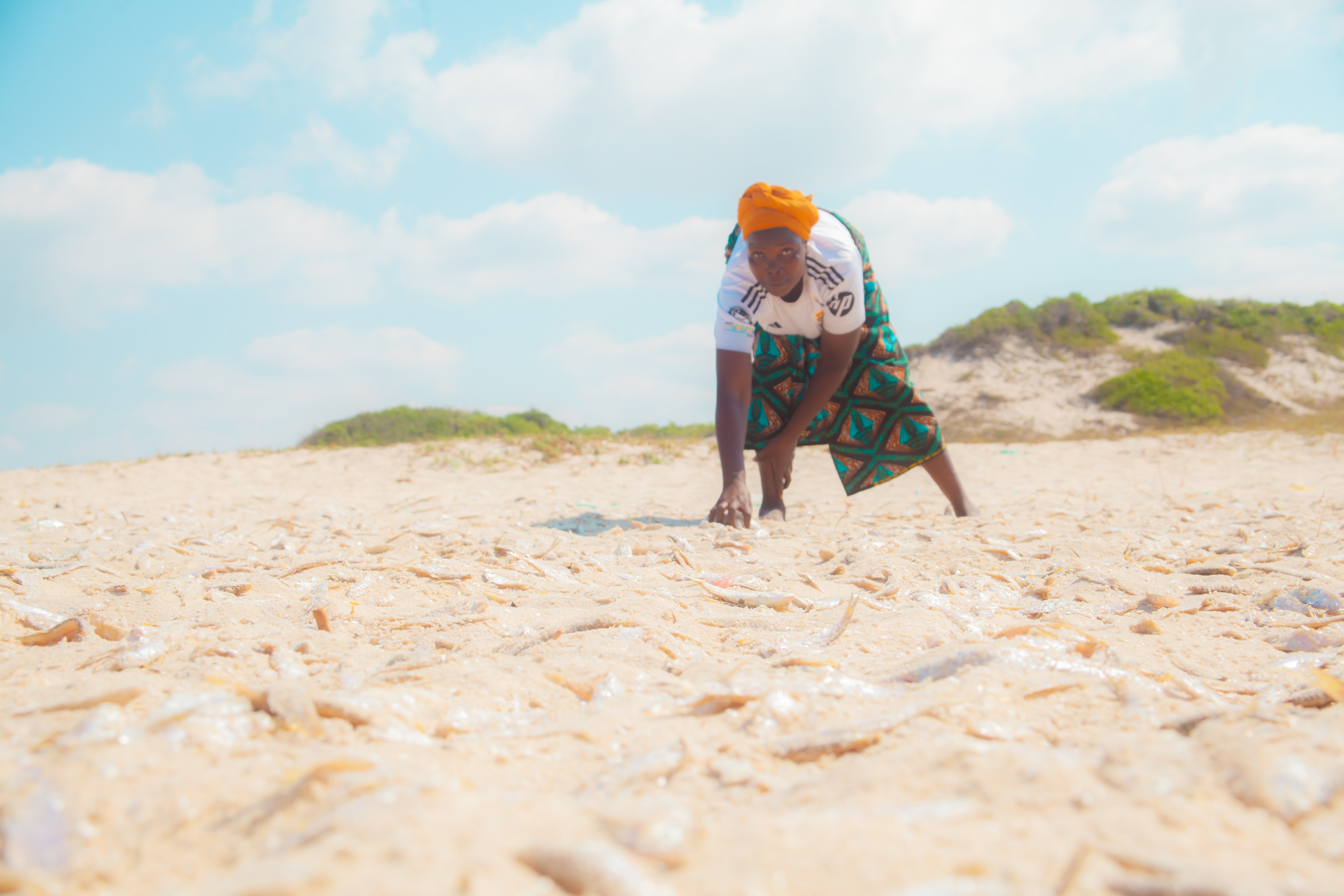 Before the solar drying tents were introduced, Isabel dried her fish directly on the sand, where it was exposed to sand, sudden rain, insects and animals. Photo: GAIN Mozambique