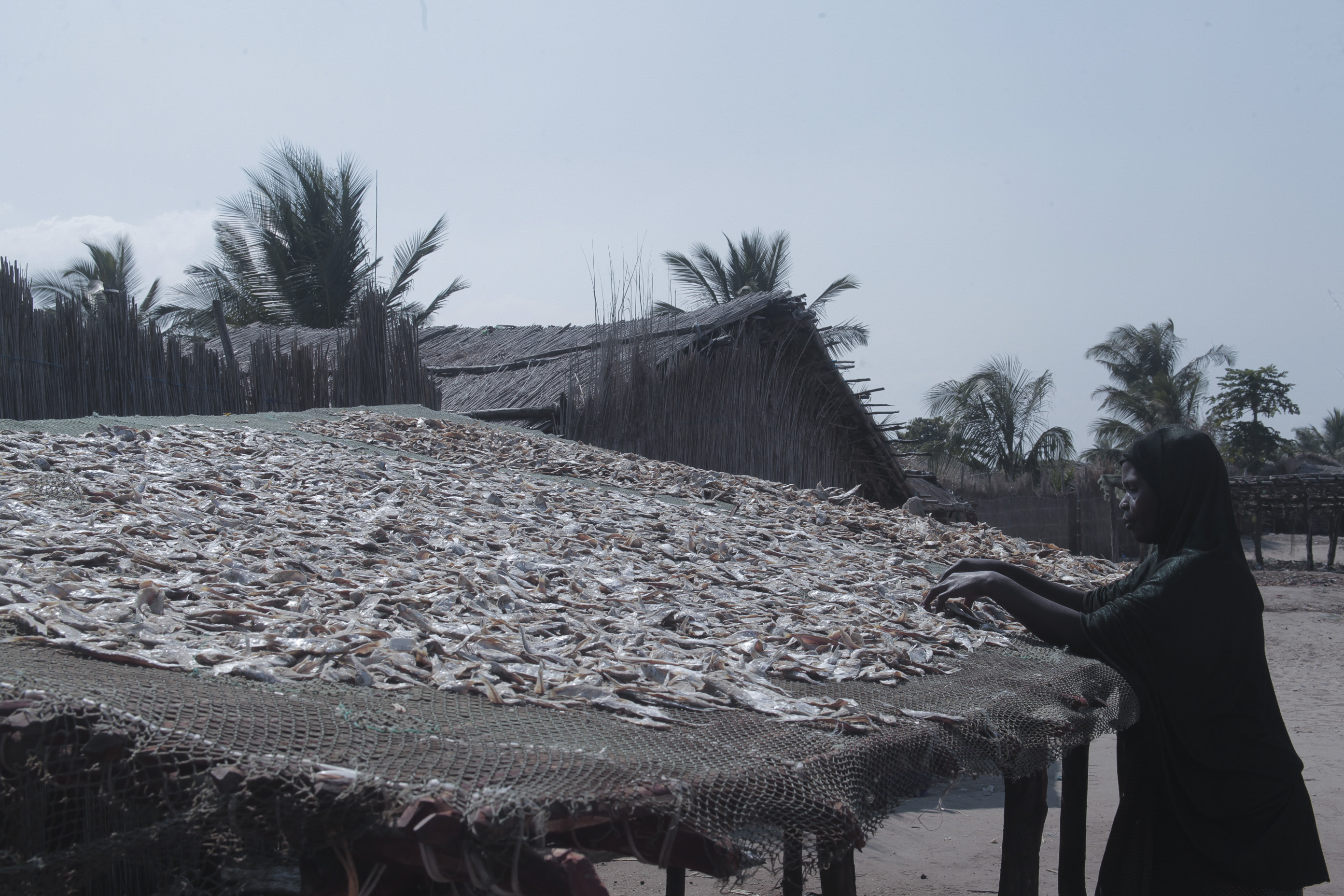 Fish dries on a raised rack in Sambazoe. 